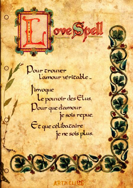Chate sans inscription Chate sans inscription
