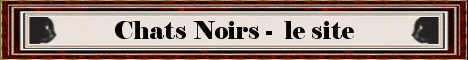 Chats Noirs
