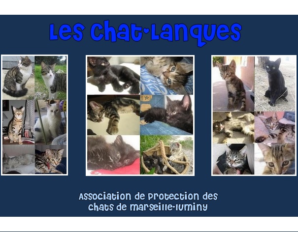 Les Chat-Lanques