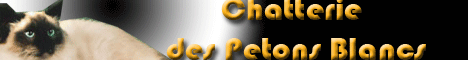 Chatterie des petons blancs