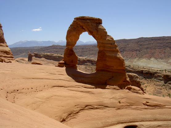 Zed_Nature_00839.jpg