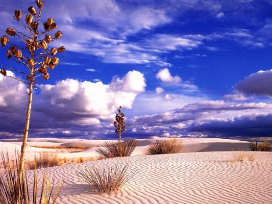 Zed_Nature_00206.jpg