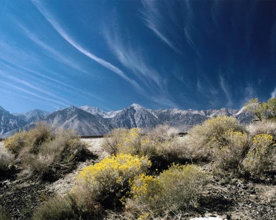 Zed_Nature_00209.jpg