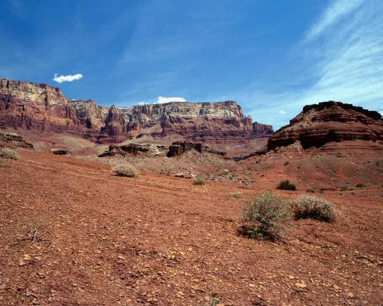 Zed_Nature_00046.jpg