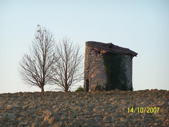 le moulin