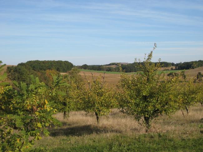 paysage lot-et-garonnais