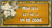 ouvrture du site
