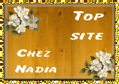 Mon TopSite