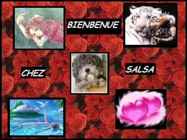 Le monde de salsa: un monde de tendresse
