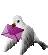 colombe