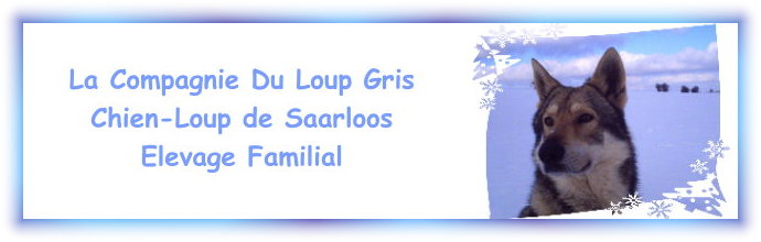 La Compagnie du Loup Gris