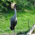 zoo