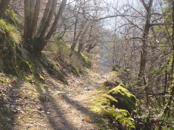 chemin!!!.jpg