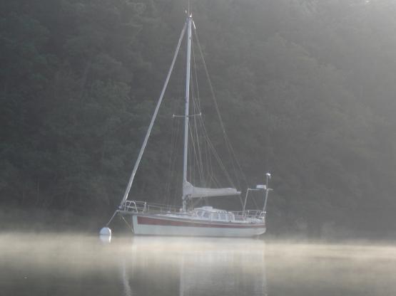 bateau brume.jpg