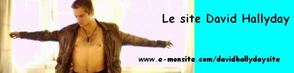 LE SITE 100% DAVID HALLYDAY