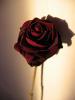 Album par d�faut