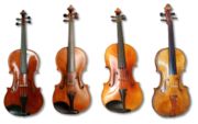 Plusieurs altos et violons. On note l'importance des variations de teinte des vernis.