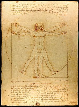 L'homme de Vitruve
