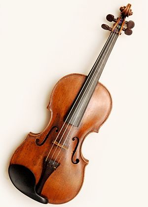 Vieux violon.