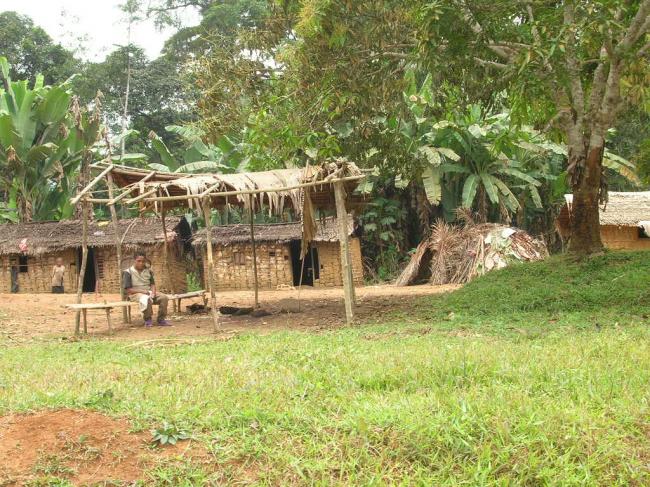 Village Baka Akonétché