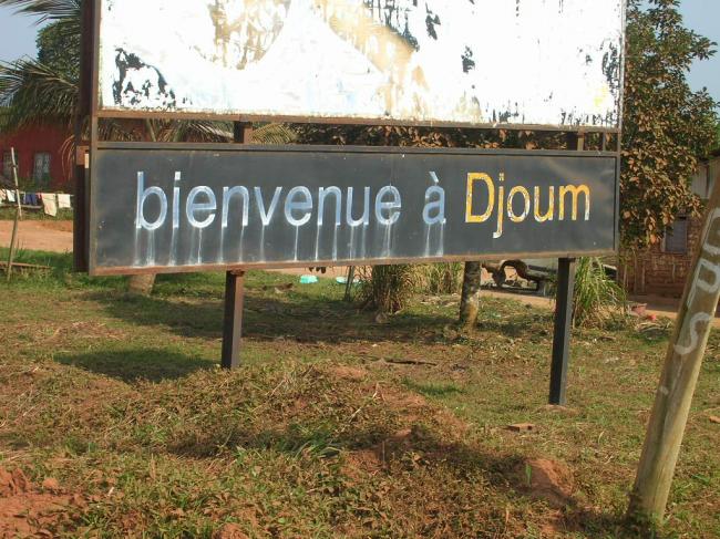 Djoum