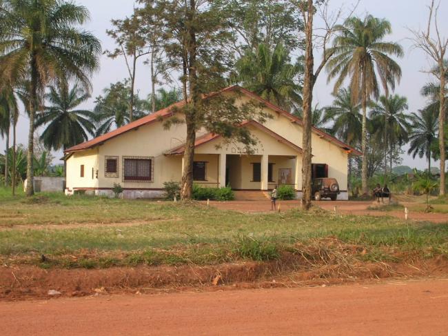 Djoum