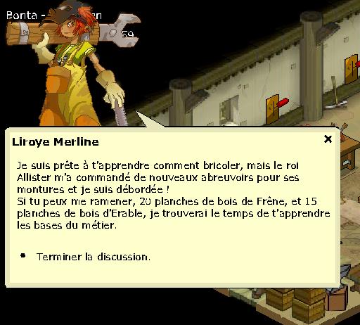 comment devenir bricoleur dofus