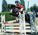 780llr6-images.jpg