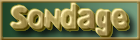 Sondage