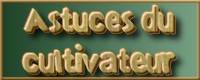 Trucs & Astuces