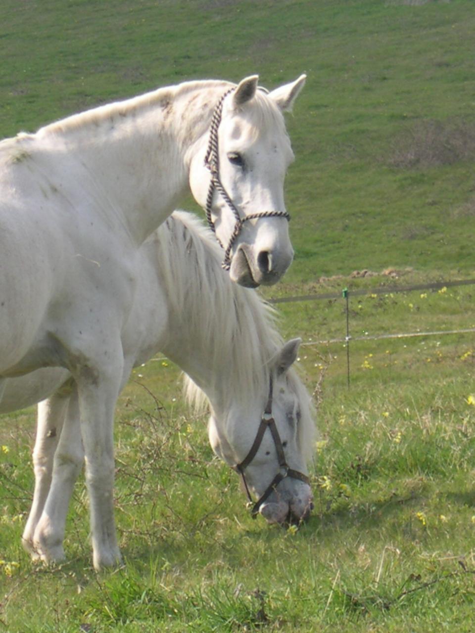 Etane et Charleen