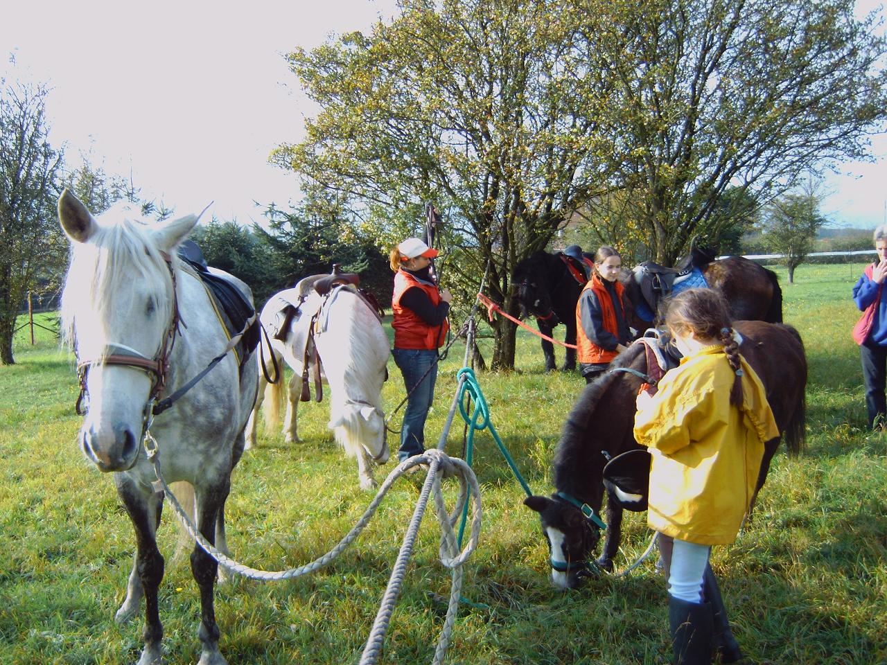 St Hubert - Feschaux 2006