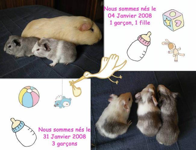 bébé happy bébé happy