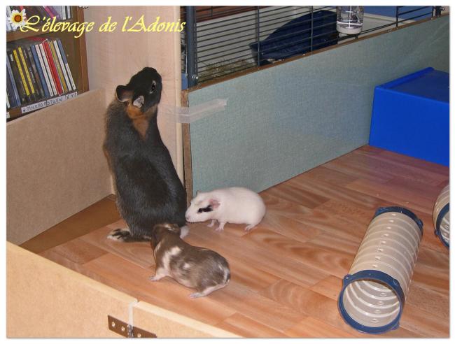 coup coeur 3 coup coeur 3