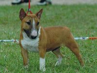 VALDAHO OF BULLY ROGER'S