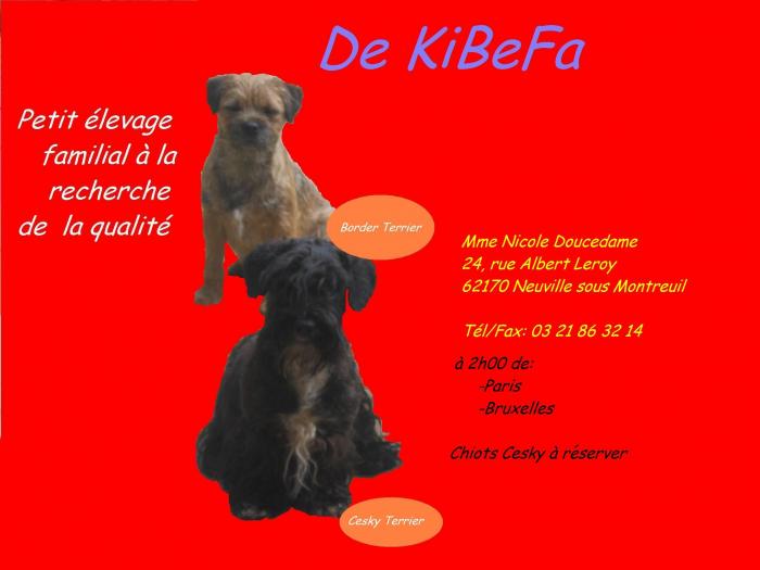 �levage de Kibefa