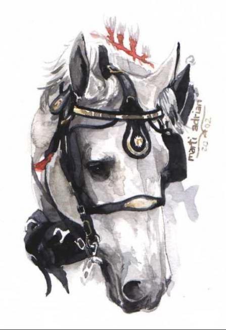 dessin-perch-zbf58