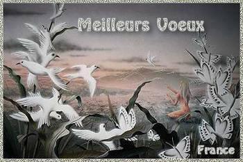 meilleurs voeux.jpeg