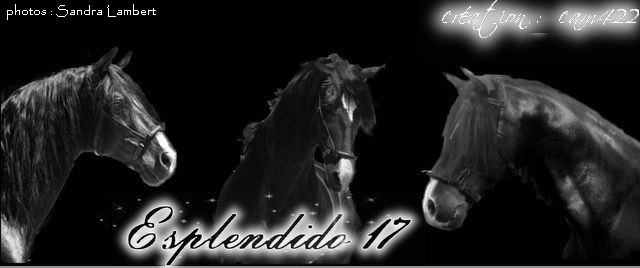 ESPLENDIDO 17 ETALON PP PURE RACE ESPAGNOLE