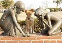 Animaux