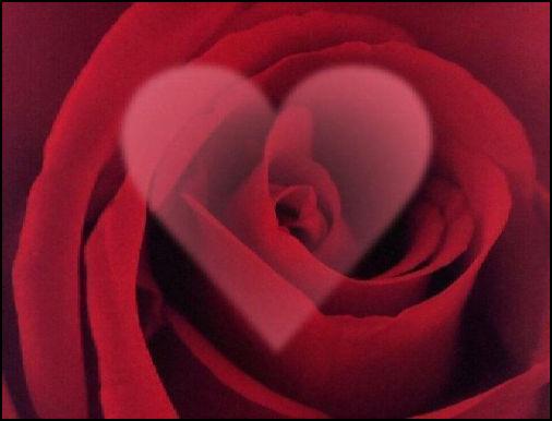 amour_joliecarte14.jpg