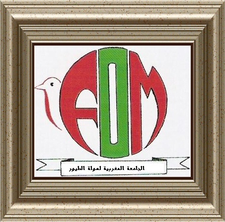 FEDERATION MAROCAINNE D'ORNITHOLOGIE