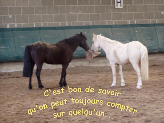 amiti� kaiser et kalin.jpg