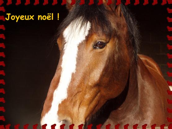 fou no�l.jpg