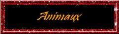 ANIMAUX