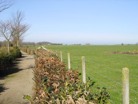 Chemin vert