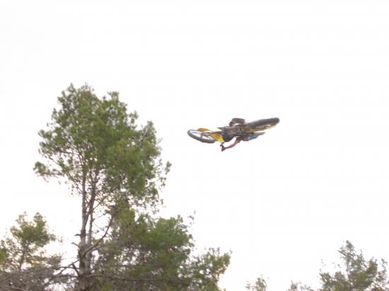 whip