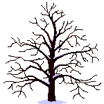 G�n�alogie Passion