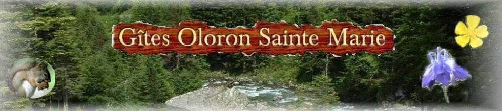 >GITES PYRENEES  - Location Montagne Pyr�n�es - Oloron Sainte Marie.