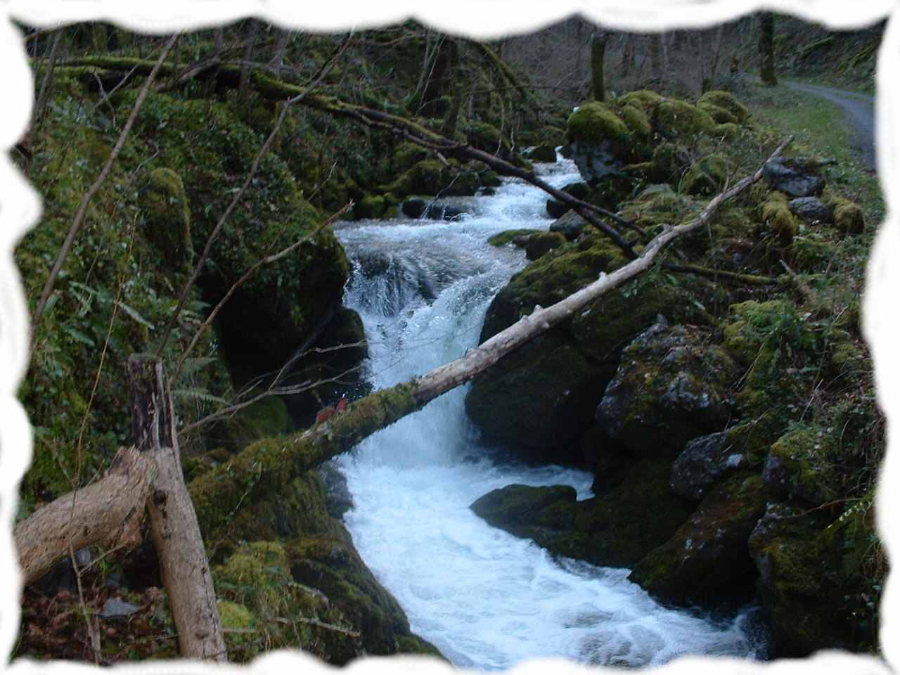 L Ourteau La rivière du Bager